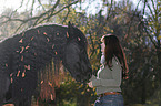 Friesian horse portrait