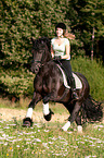 girl rides Friesian horse