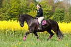 woman rides Frisian horse