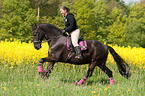 woman rides Frisian horse