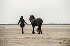 woman and Frisian Horse