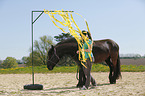 calmness training