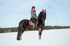 Friesian Horse