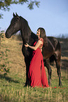 Frisian gelding