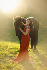 Frisian gelding