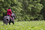 woman with Friesian horse