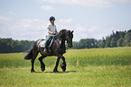woman rides Frisian