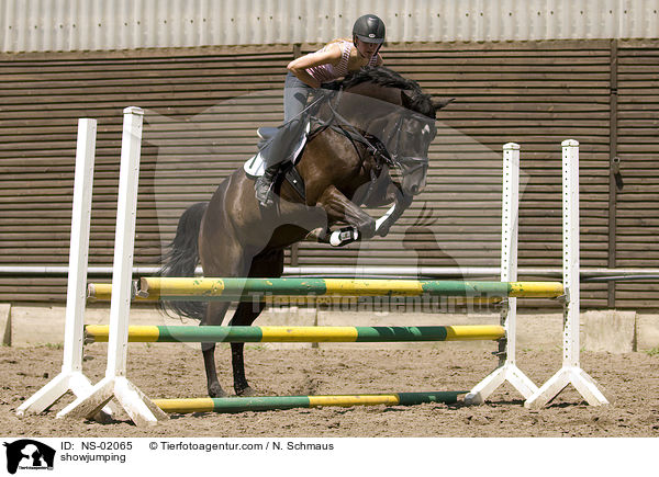 showjumping / NS-02065