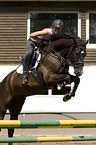 showjumping
