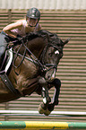 showjumping
