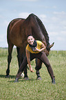 woman and warmblood