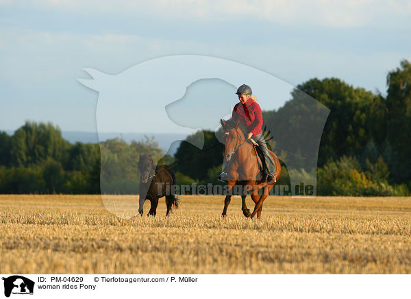 Frau reitet Deutsches Reitpony / woman rides Pony / PM-04629