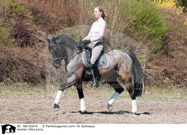 Frau reitet Deutsches Reitpony / woman rides pony / NS-02816
