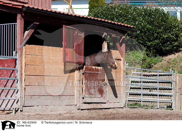 horse box / NS-02940