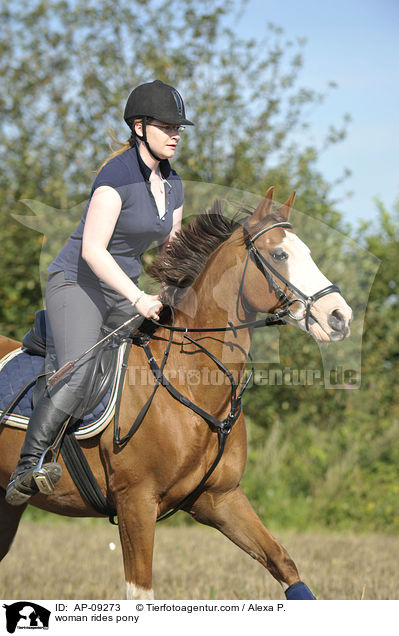Frau reitet Deutsches Reitpony / woman rides pony / AP-09273