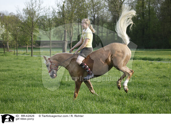 Mdchen reitet Deutsches Reitpony / girl rides pony / RR-42826