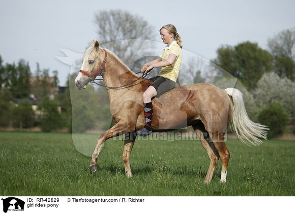Mdchen reitet Deutsches Reitpony / girl rides pony / RR-42829