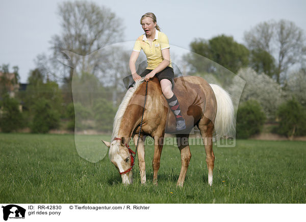 Mdchen reitet Deutsches Reitpony / girl rides pony / RR-42830