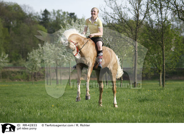 Mdchen reitet Deutsches Reitpony / girl rides pony / RR-42833