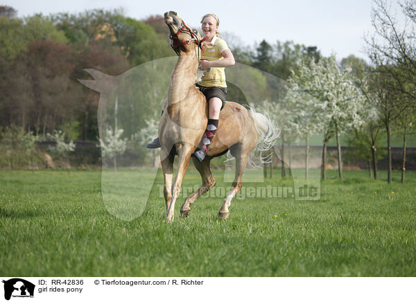 Mdchen reitet Deutsches Reitpony / girl rides pony / RR-42836