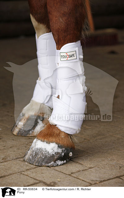 Pony / RR-50634