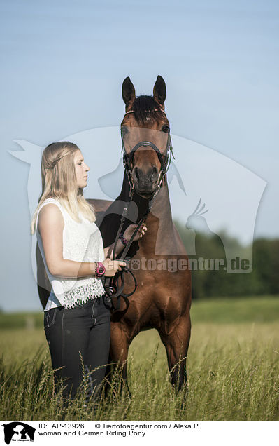 woman and German Riding Pony / AP-13926