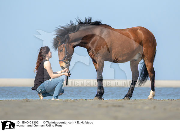 woman and German Riding Pony / EHO-01302