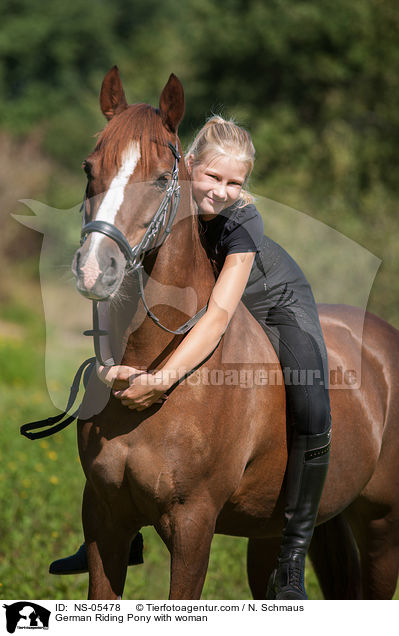 German Riding Pony with woman / NS-05478