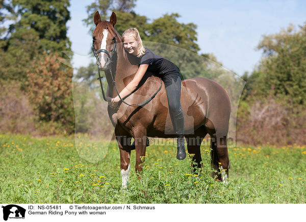 German Riding Pony with woman / NS-05481