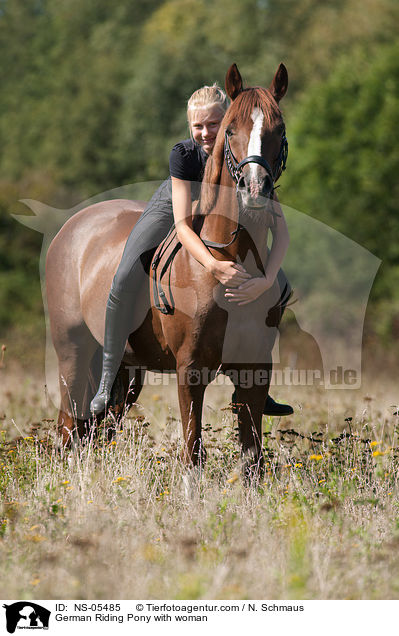 German Riding Pony with woman / NS-05485