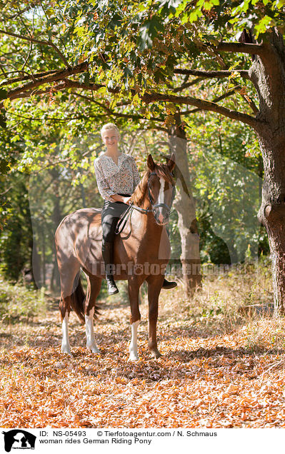 woman rides German Riding Pony / NS-05493