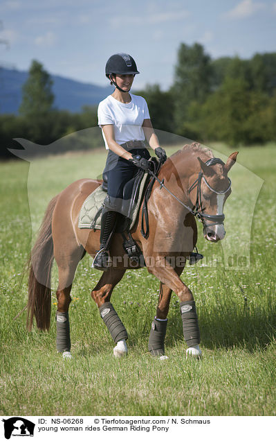 young woman rides German Riding Pony / NS-06268