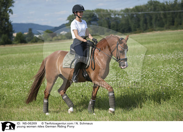 young woman rides German Riding Pony / NS-06269