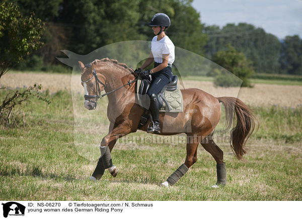 young woman rides German Riding Pony / NS-06270