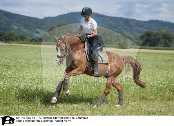 young woman rides German Riding Pony / NS-06273