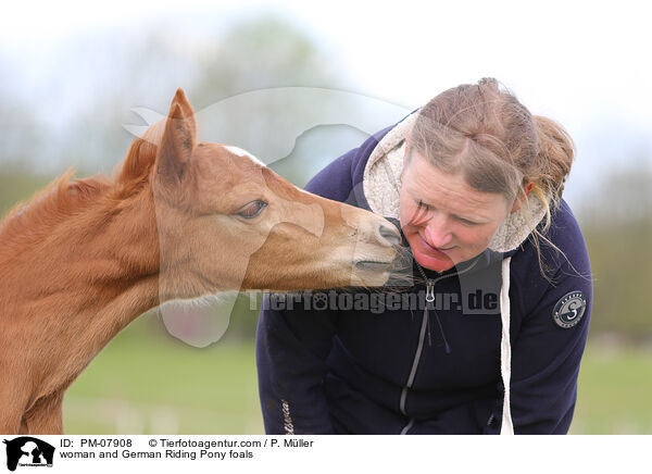 Frau und Deutsches Reitpony Fohlen / woman and German Riding Pony foals / PM-07908