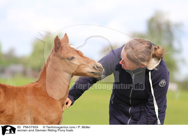 Frau und Deutsches Reitpony Fohlen / woman and German Riding Pony foals / PM-07909