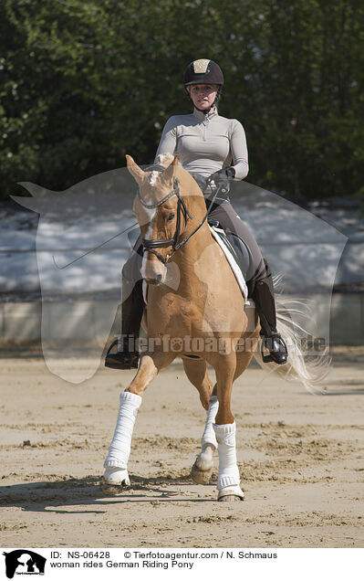 Frau reitet Deutsches Reitpony / woman rides German Riding Pony / NS-06428