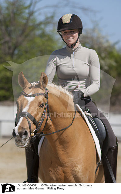 Frau reitet Deutsches Reitpony / woman rides German Riding Pony / NS-06437