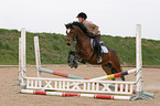 showjumping training