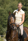 pony stallion under saddle