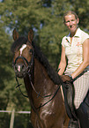 pony stallion under saddle