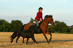 woman rides Pony