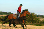 woman rides Pony