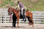 training