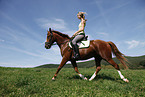 trotting horse