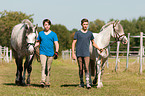 boy with horses