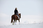 Pony