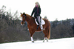 Pony