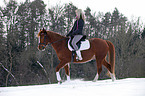 Pony